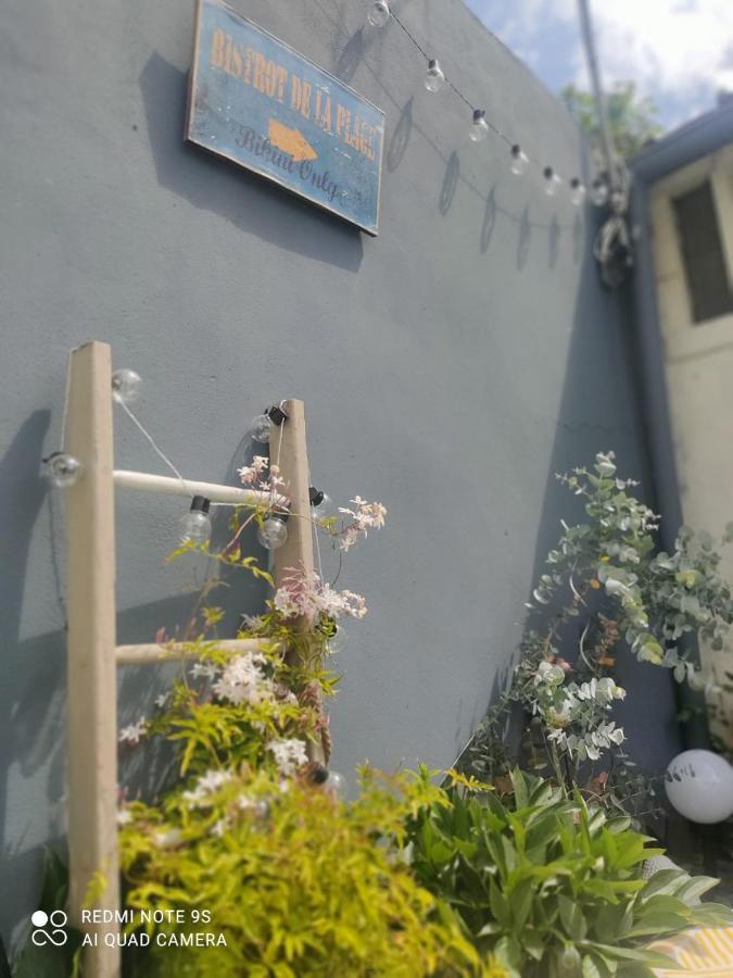 Le Cocon Des Hortillonnages D'Amiens Camon  Ngoại thất bức ảnh
