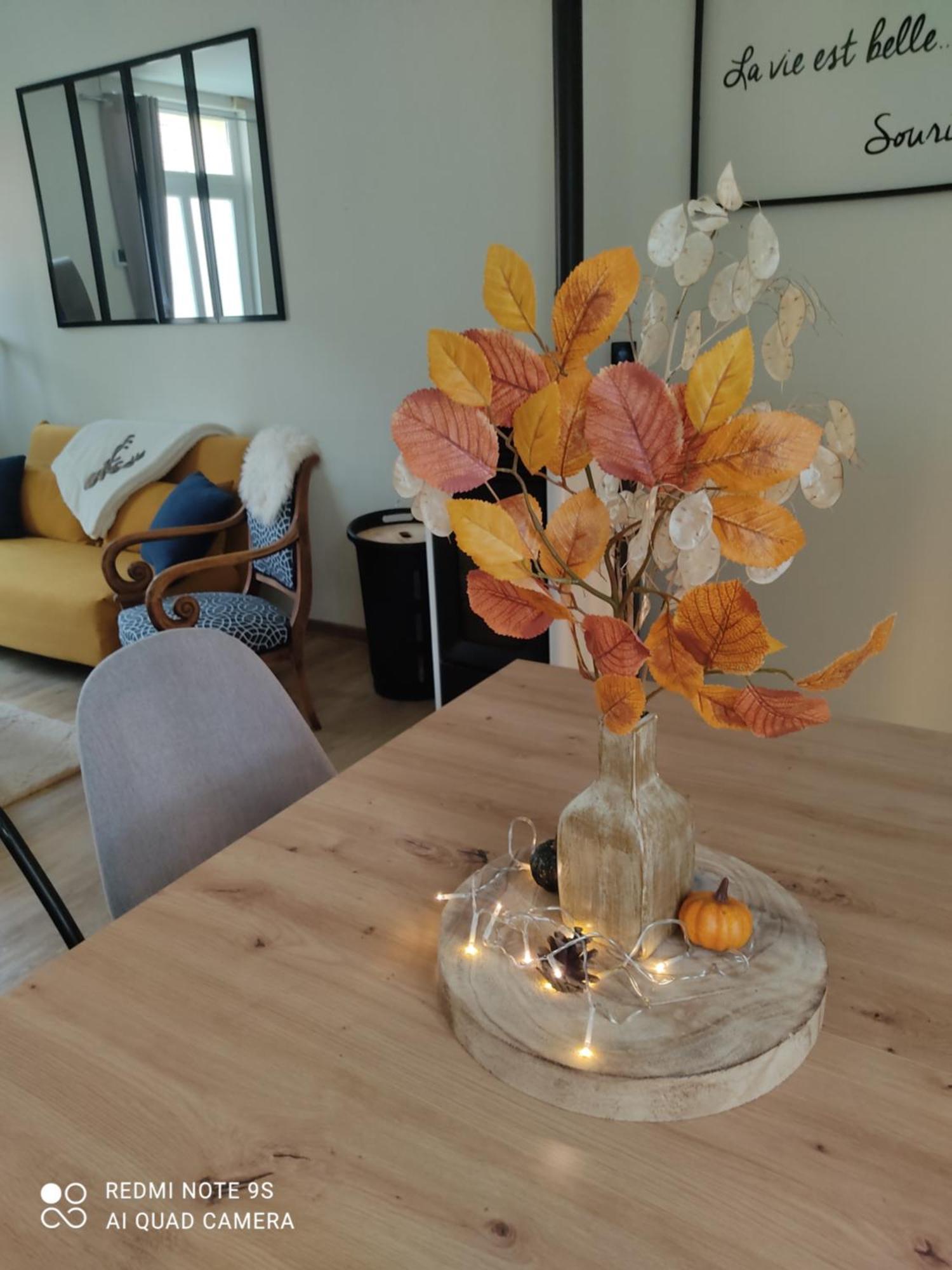 Le Cocon Des Hortillonnages D'Amiens Camon  Ngoại thất bức ảnh