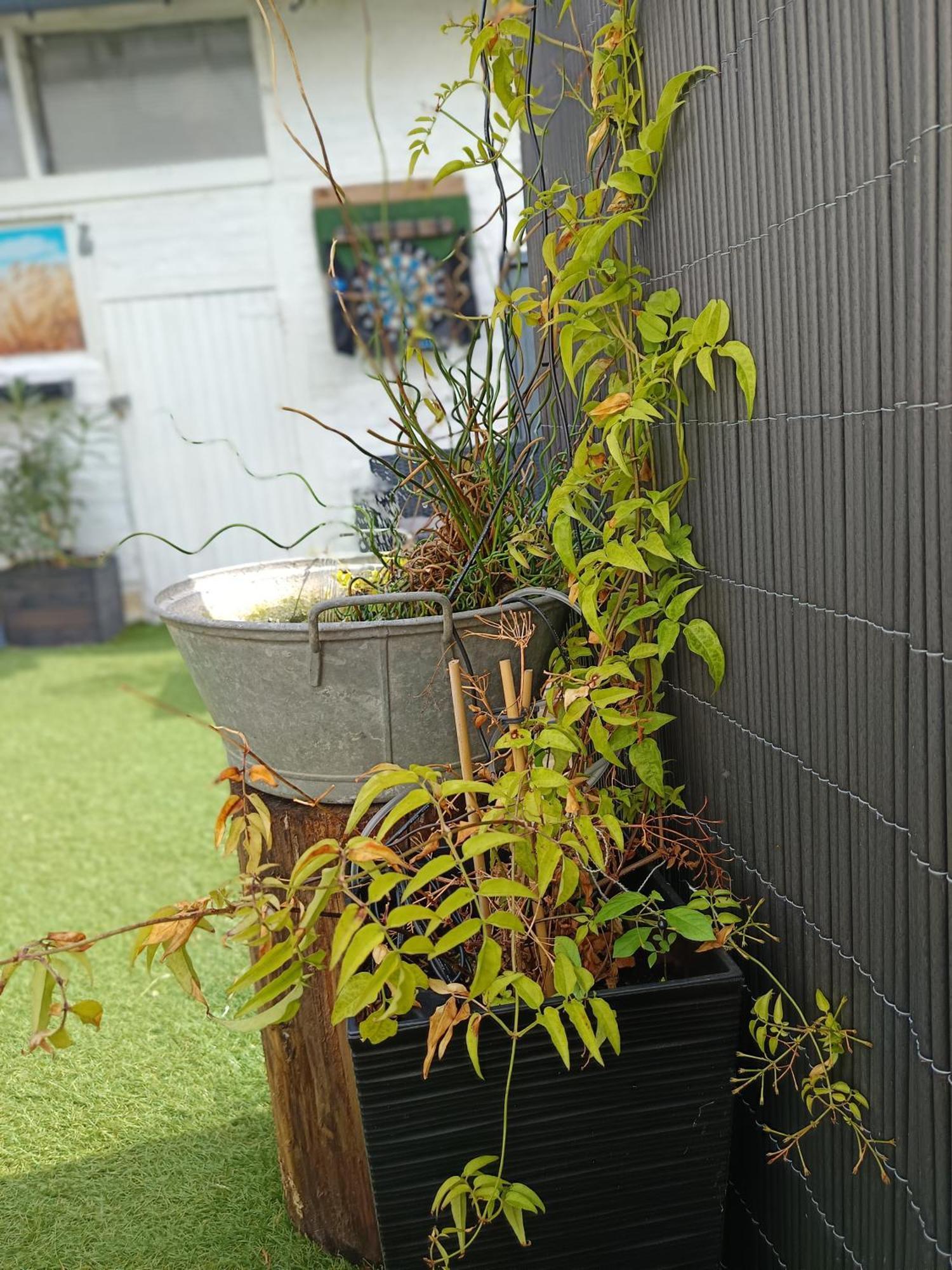 Le Cocon Des Hortillonnages D'Amiens Camon  Ngoại thất bức ảnh