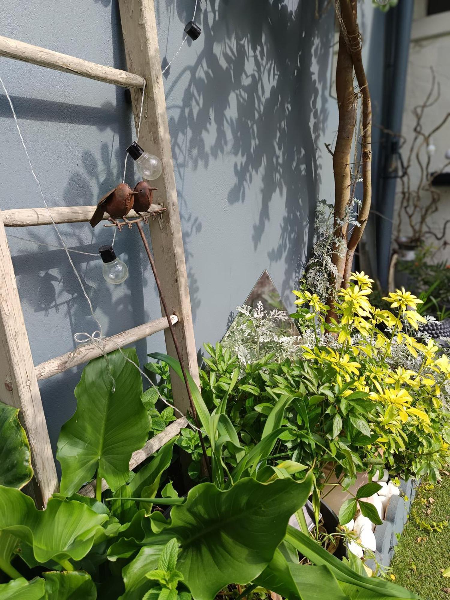 Le Cocon Des Hortillonnages D'Amiens Camon  Ngoại thất bức ảnh